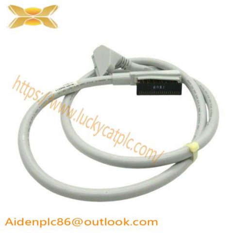 Schneider Electric 1492-CABLE010H Digital Cable - Industrial Control Solutions