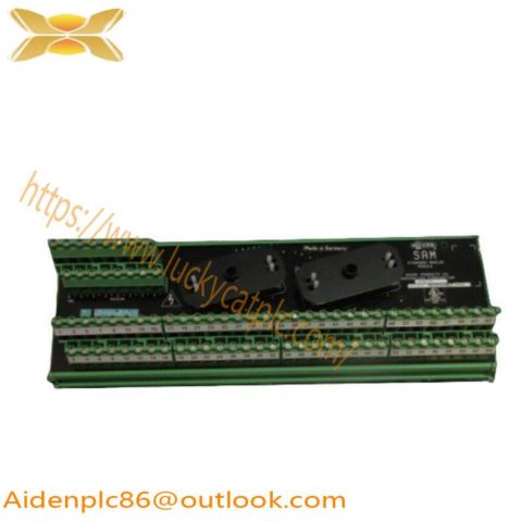 Moore 16169-1-07 SAM Analog Module: Precise Control for Industrial Automation