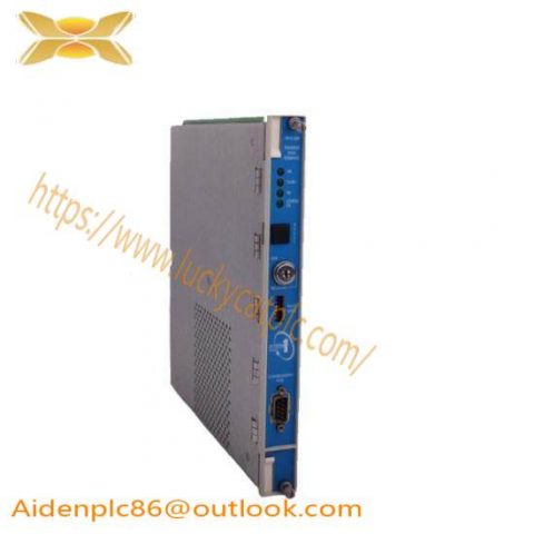 Bently Nevada 3500/20-01-01-00 Rack Interface Module, Advanced Control System Integration