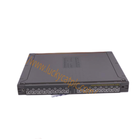 Bently Nevada 130539-30: Industrial Control Module for Precision Applications