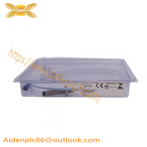 Bently Nevada 330905-00-08-10-02-05: Advanced Industrial Automation Module