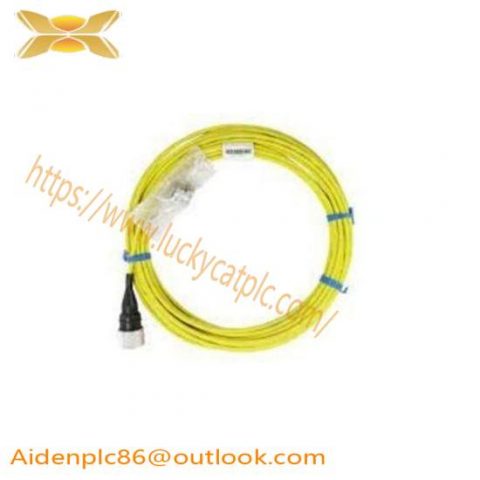 Bently Nevada CB2W100-015: Rapid Delivery Industrial Control Module