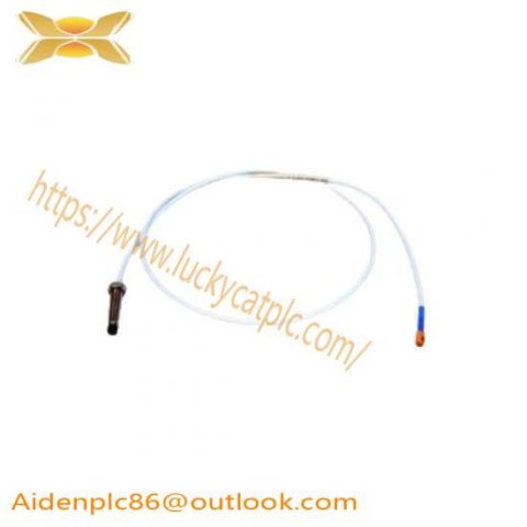 Bently Nevada Probe DS-1053/03/030/010/1/9 Extension Cable - High-Performance Industrial Control Cable