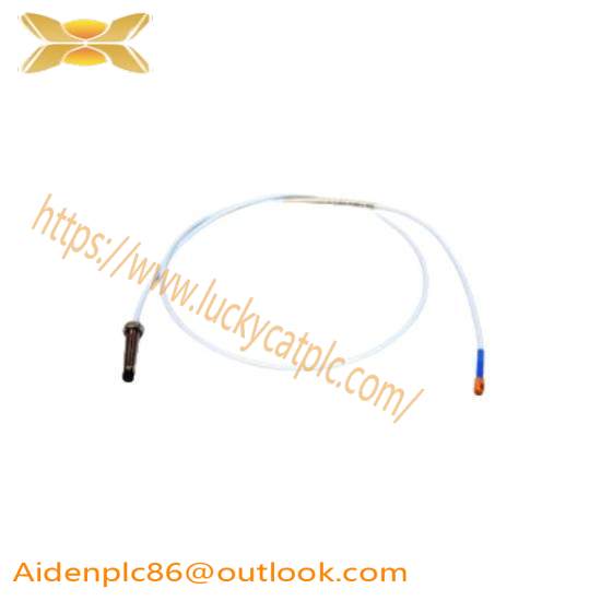 Bently Nevada Probe DS-1053/03/030/010/1/9 Extension Cable - High-Performance Industrial Control Cable