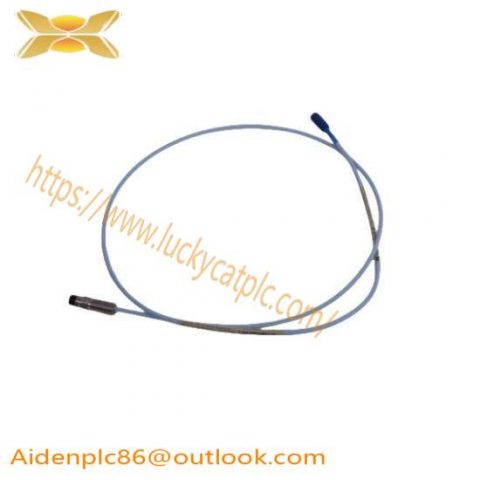 Bently Nevada Probe E2107/30/00/1/10 Extension Cable: Advanced Control Module for Precision Manufacturing Solutions