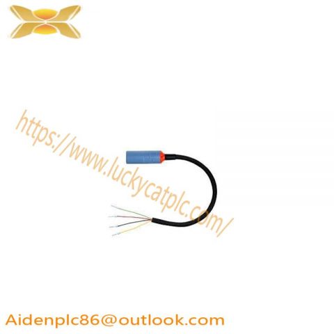 Endress+Hauser CYK10-G101 Digital Measuring Cable, High Precision for Process Control