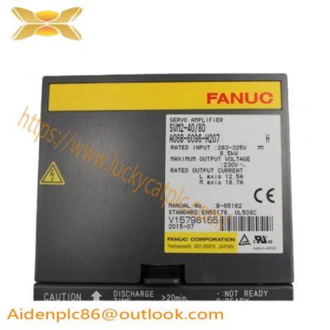Fanuc A06B-6096-H207 GE Servo Module: Advanced Control for Industrial Applications