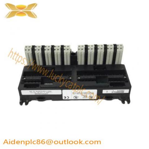 GE FANUC IC670CHS002 - Advanced I/O Terminal Block for Industrial Control Applications