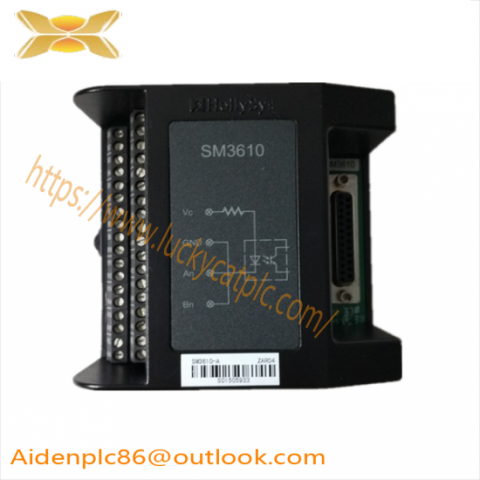 HollySys FM161D-48 Switch Input Module - High-Performance, 48-Channel, Digital Input for Industrial Automation