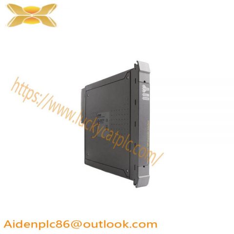 ICS Triplex T8311C - Trusted Expander Modules