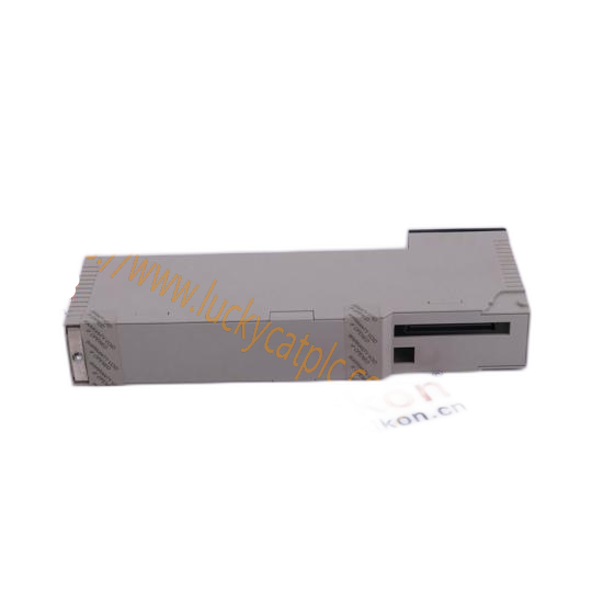 Invensys Foxboro AO2-2500M/AO2/XXXXX/XXXXXX: Advanced Control Module for Industrial Automation