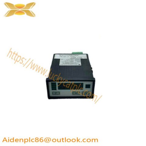 Negele Process Display DPM-GS-2GW-S Digital Display