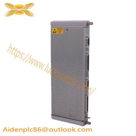 Bently Nevada 125760-01 Rack Interface Module for Advanced Industrial Control Systems