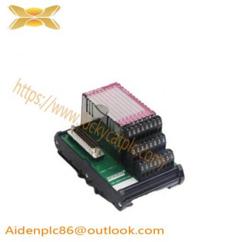 Foxboro P0916AA - I/A Series Process Control Module