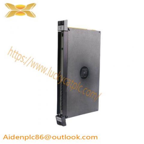 RELIANCE 57C411 PLC Input Module