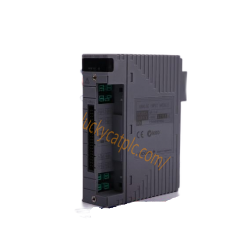 Reliance Electric AutoMax 61C515 Analog Input Module