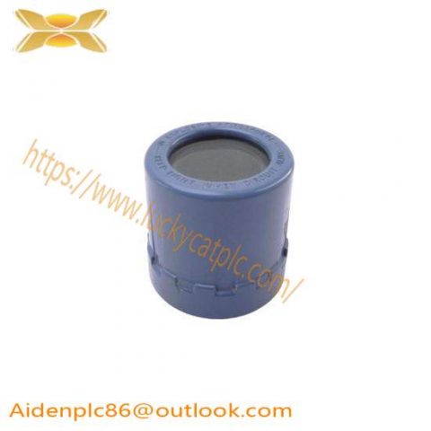 Rosemount 01151-0389-0001 REV. A | Explosion Proof Cover