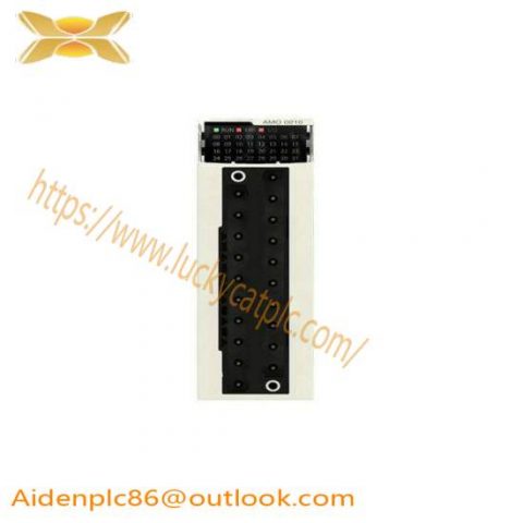 Schneider BMXAMO0410 Analog Isolated High Level Output Module
