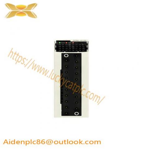 Schneider Electric BMXDDM16022 Discrete Mixed I/O Module