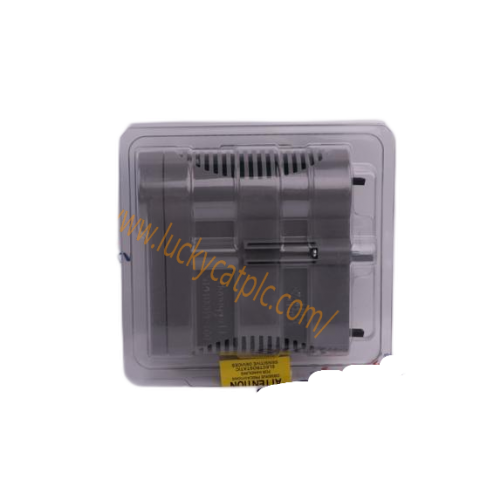 SIEMENS SIMADYN D 6DD1600-0AK0 Automation Module