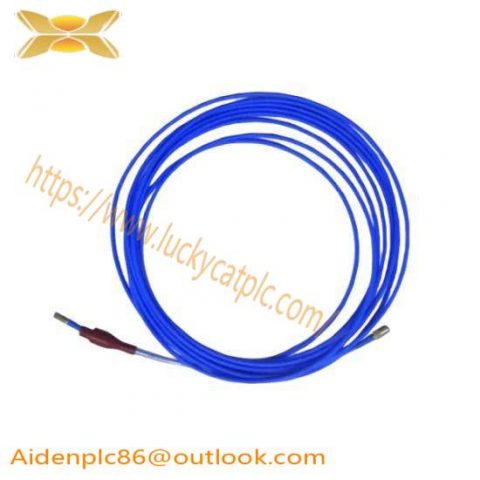 Bently Nevada TM032 Extension Cable, Model A00-B00, Category C00-D00, Module E00-F00-G00