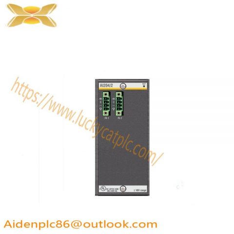 Bachmann AI204/2 Analog Input Module: High Precision, Dual Channel, 16-bit Resolution for Industrial Automation