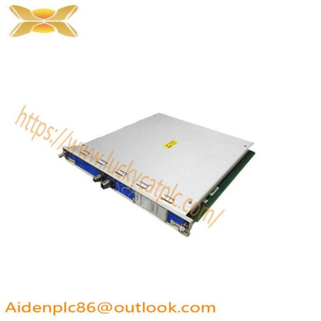 BENTLY 3500/50-01-00-01 High-Performance Vibration Monitoring Module