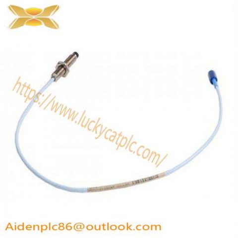 Bently Nevada 330103-00-05-05-02-00 PLC Module for Proximity Probes