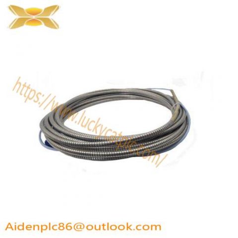 Bently Nevada 38817-02-85-05-94-01-02 Extension Cable: Industrial Control System Accessory