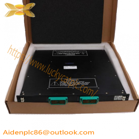 Berger Lahr TLD012F 0063401200001 - DCS Control Module