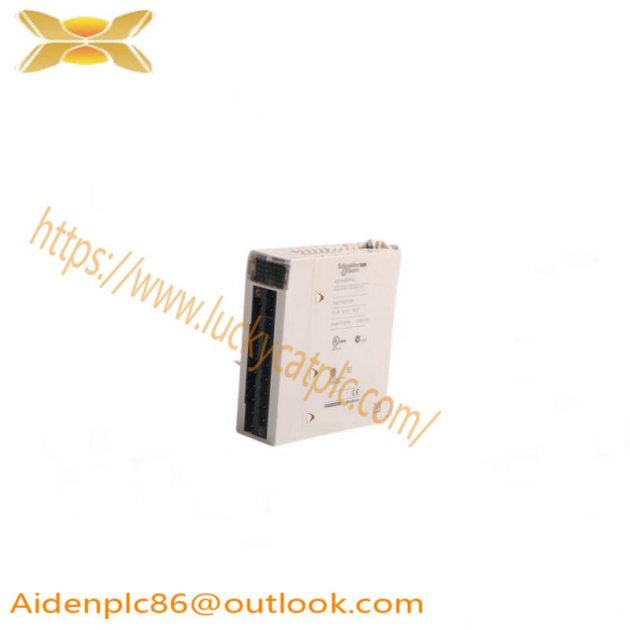 SCHLEICHER UST21 High Precision Industrial Controller Module