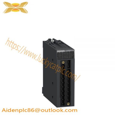 Schneider Electric 140CHS11100 Hot Standby Module for PLC Systems