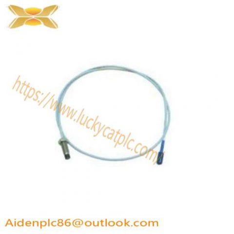 BENTLY NEVADA 330910-05-10-05-02-CN - Short Delivery Time; Manufacturer: Bently Nevada