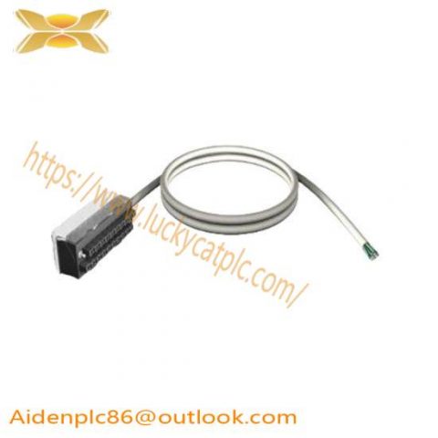 Schneider Electric BMXFTW1001 - Discrete I/O Cable, 10M, Schneider PLC Module