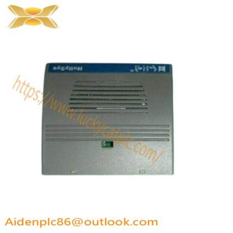 HollySys FM147 DCS Module for Advanced Process Control