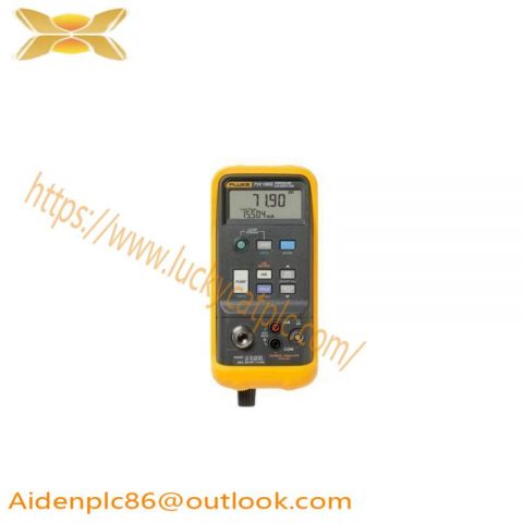 Fluke Professional Grade 719-100G Pressure Calibrator