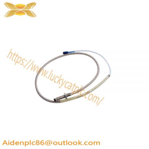 Bently Nevada 33104-00-10-10-02-05 Extension Cable, Precision Automation Solutions