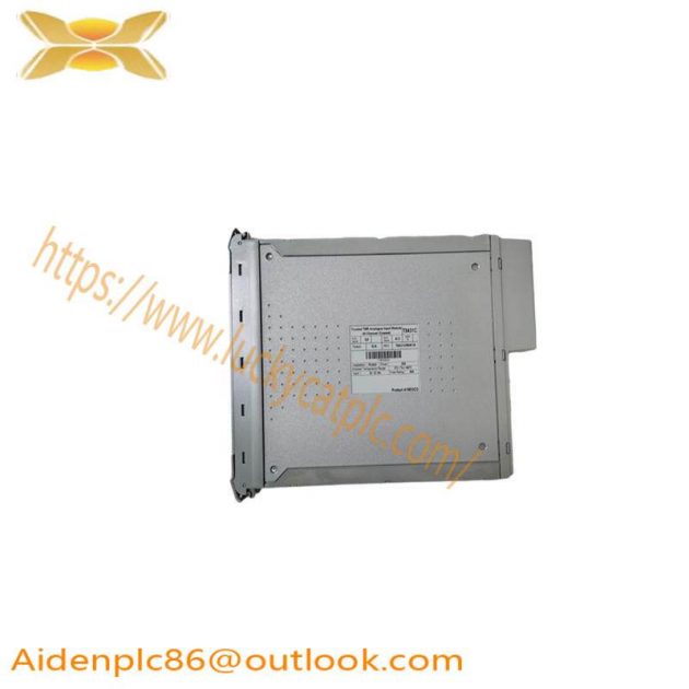 GE DS2020SVSAG2 - Modular Panel Module for Mark V Turbine Control Systems