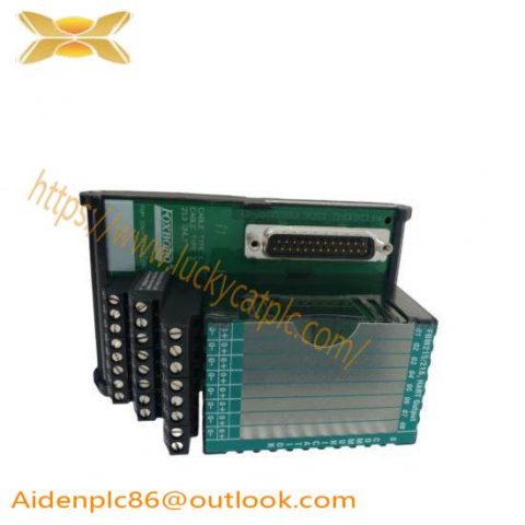 FOXBORO P0916KF0B: Advanced Industrial Control Module
