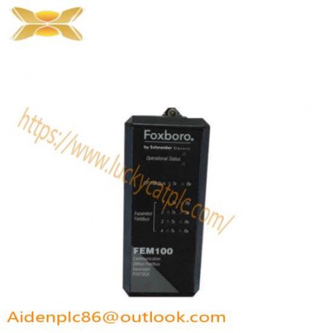 Foxboro FEM100 P0973CA | I/A Series Expansion Module for Enhanced Process Control
