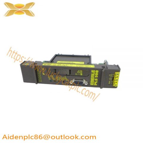 EBERLE P-43 Industrial Control Module, Compact Design & High Efficiency
